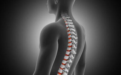 Spinal Alignment and Health: How It Impacts Your Well-being