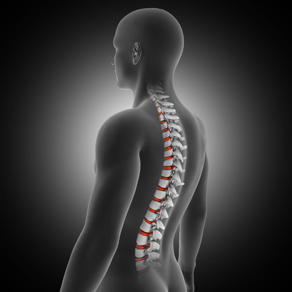 Understanding spinal alignment and its impact on health at Marylebone Chiropractic Clinic